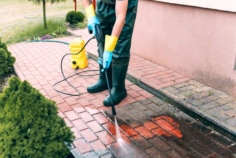 Brick Pavers Cleaning