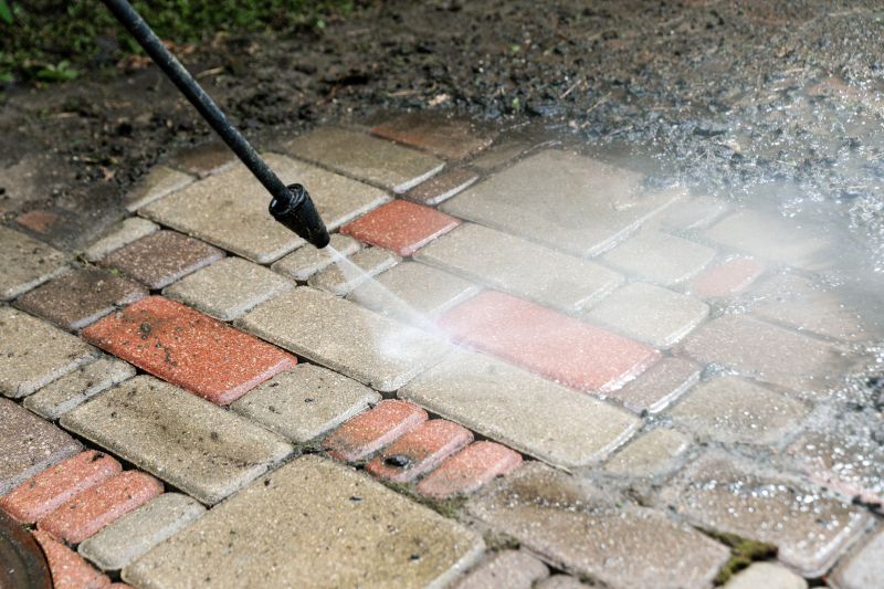 Brick Pavers Cleaning detail