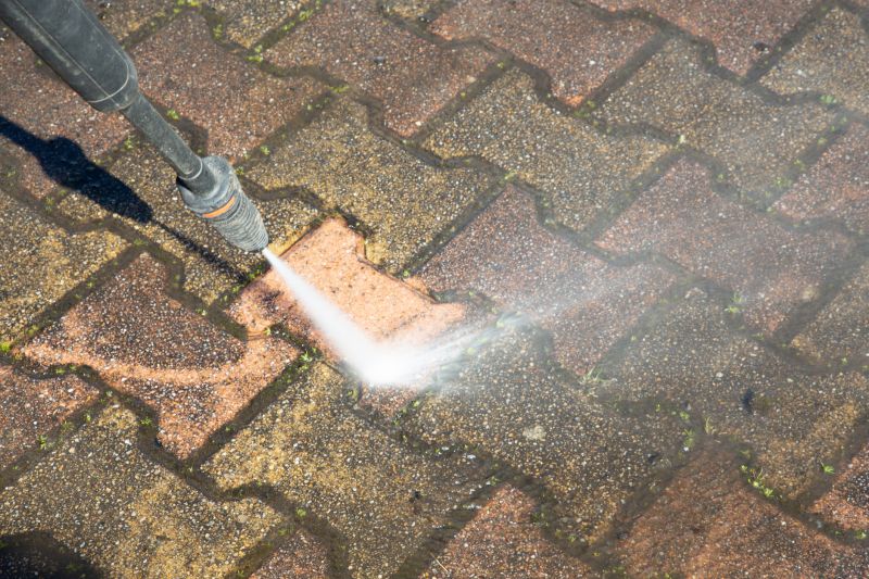 Brick Pavers Cleaning detail