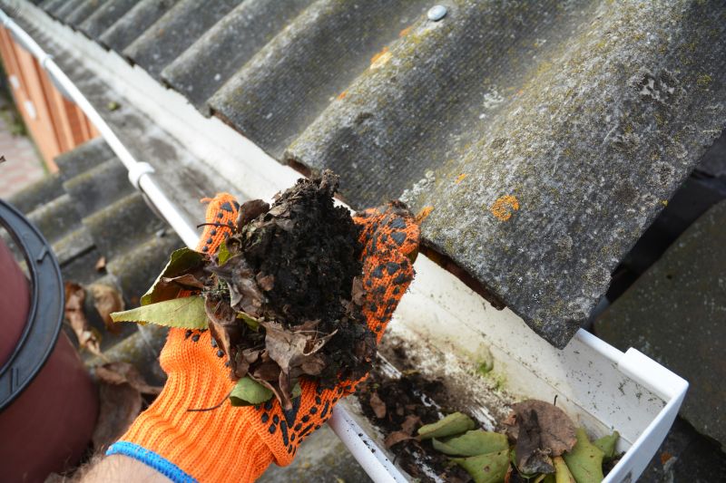 Roof Gutter Cleaning in Bergen County, NJ